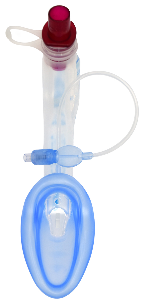 En blå och klar medicinsk larynxmask med en påsatt uppblåsningsslang och röd koppling.