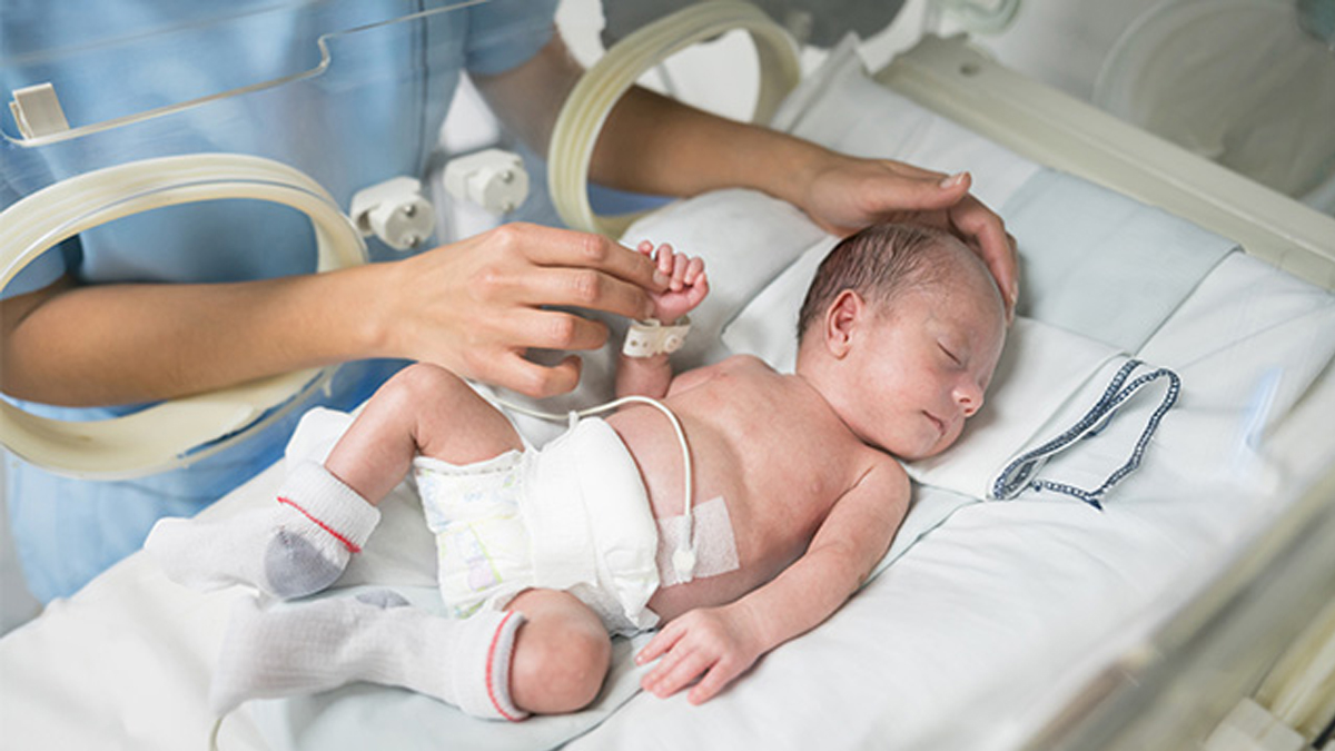 Prematur bebis ligger i en kuvös, en sjuksköterska håller barnet varsamt om armen.