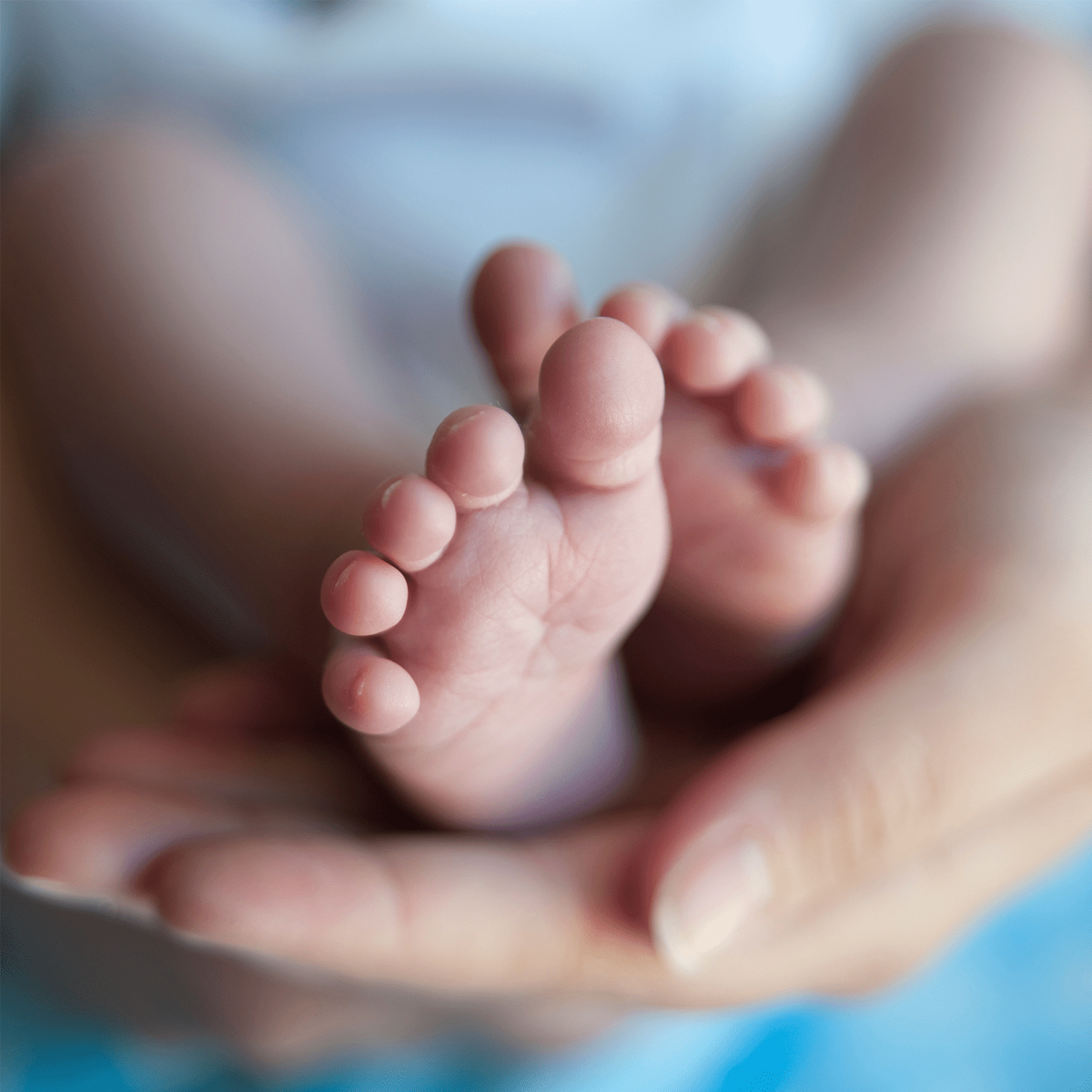 En vuxen håller varsamt små bebisfötter i sina händer.