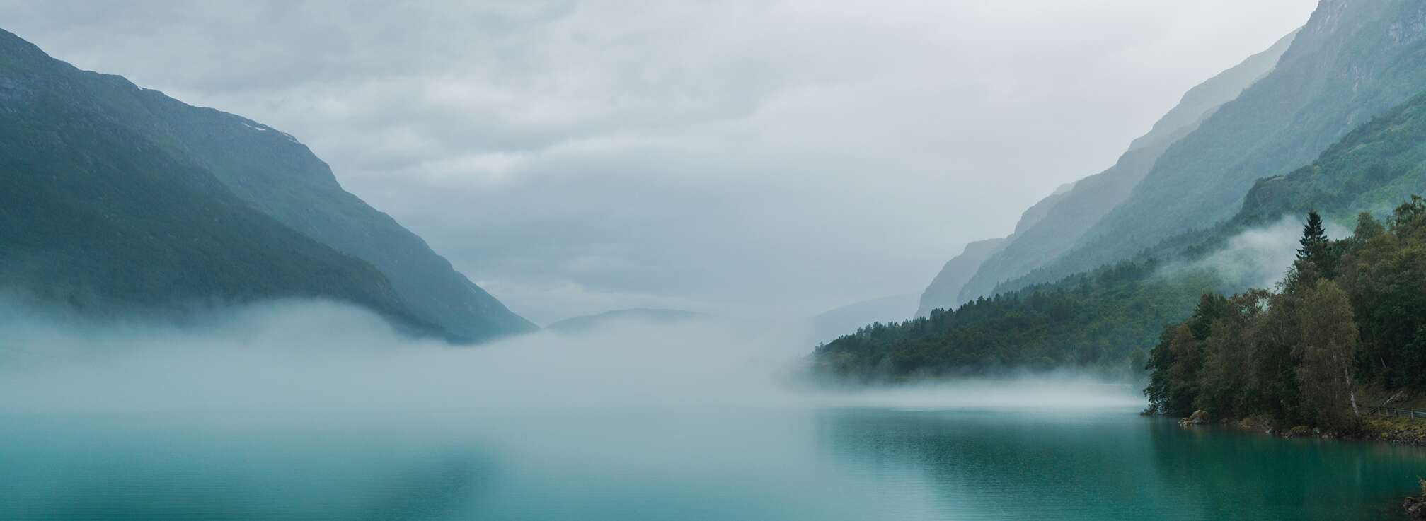 Dimma som stiger från fjorden och avslöjar ett lugnt och gåtfullt landskap